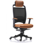 FULKRUM LEATHER- HIGH BACK CHAIR Image